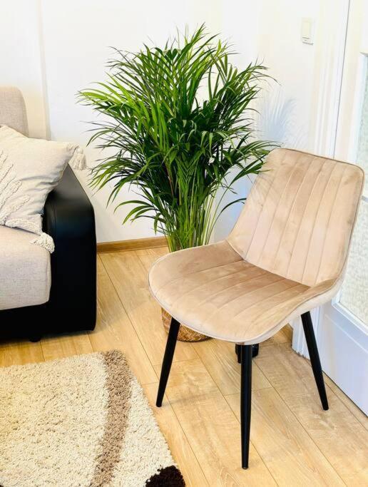 Cozy 1Br Apartment•Central•Quiet Bucureşti Eksteriør bilde